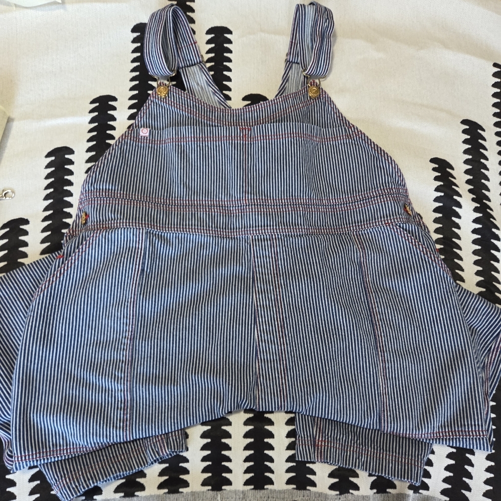 Big Bud Press Carpenter 'Railroad' Overalls - Picture 4 of 7
